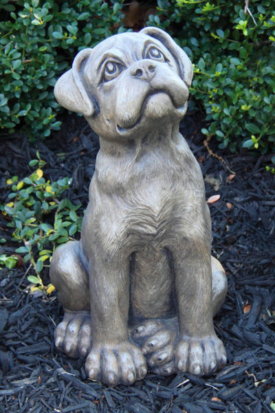 Boxer Puppy Dog Cement Sculpture Adorable Face Big Eyes Decor